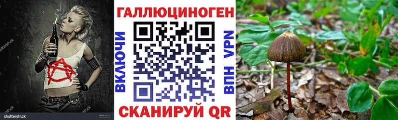 shop Telegram  Старица  Галлюциногенные грибы Magic Shrooms  даркнет сайт 